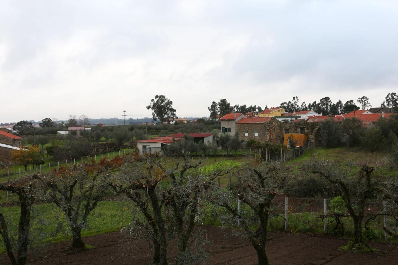 Casa D'Avo Serra Da Estrela Сейя Екстер'єр фото